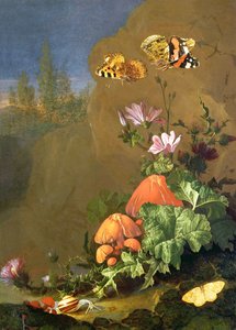 Natura morta di suolo forestale con fiori, funghi e lumache